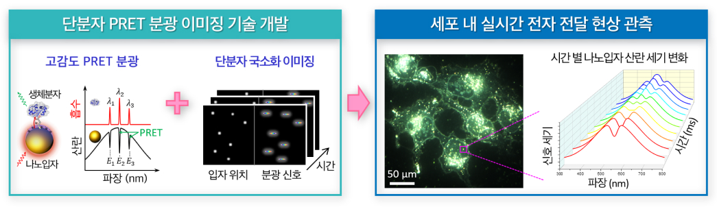 연구과제 이미지_김정민 교수.jpg